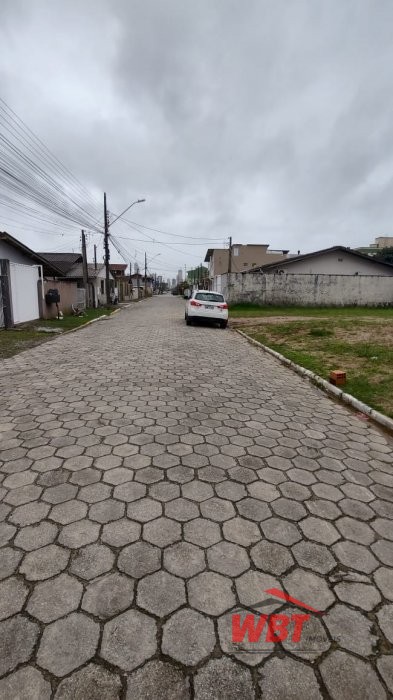 TERRENO COM RUA CAL�ADA, MEDINDO 303m�