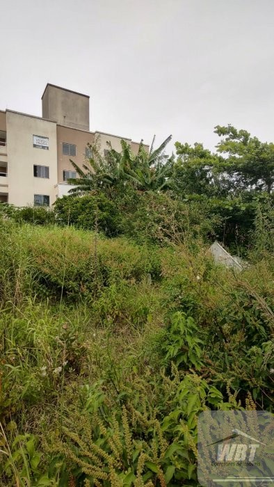 TERRENO EM ITAPEMA, MURADO E ATERRADO COM 270M�