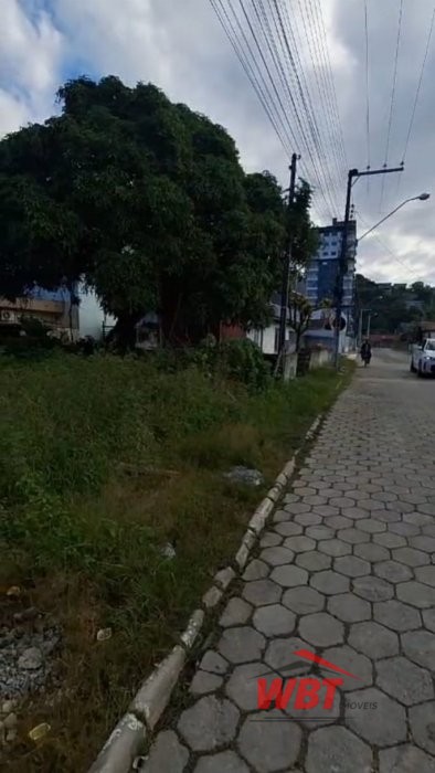 TERRENO COM RUA CAL�ADA, MEDINDO 300m�!!! 
