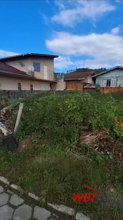 TERRENO COM RUA CAL�ADA, MEDINDO 300m�!!! 